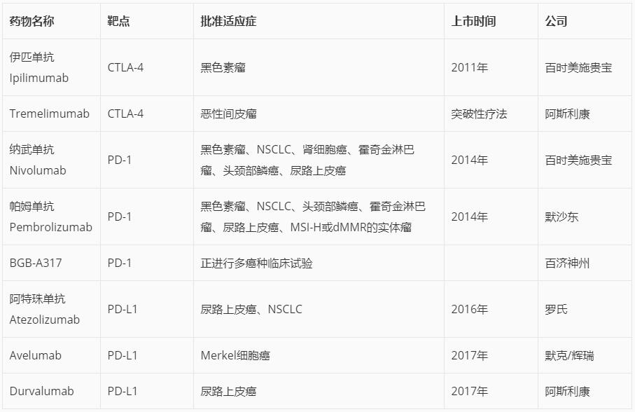 开云体育- 开云体育官方网站- Kaiyun Sports