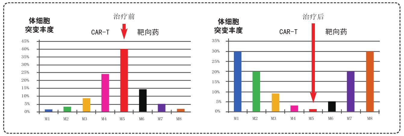 开云体育- 开云体育官方网站- Kaiyun Sports